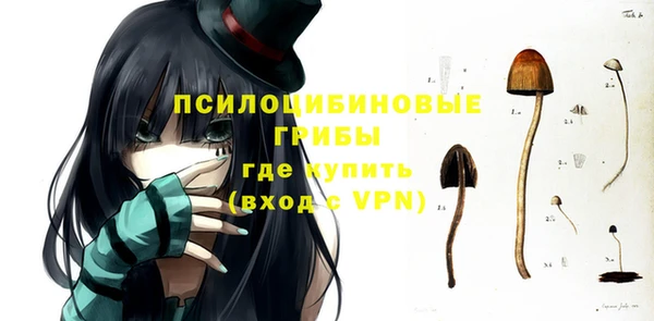 шишки Алексин