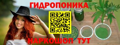 PSILOCYBIN Тверь