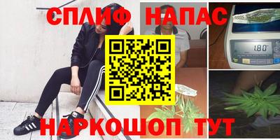 PSILOCYBIN Тверь