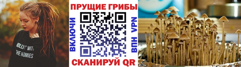 ссылка на мегу вход  Темрюк  Псилоцибиновые грибы MAGIC MUSHROOMS 