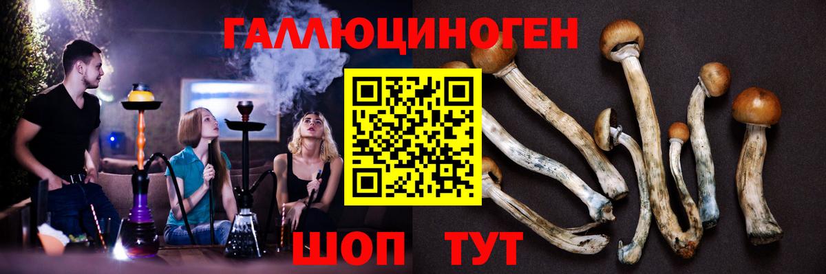 Псилоцибиновые грибы GOLDEN TEACHER  Вход с VPN  Темрюк 